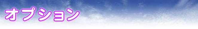 オプション